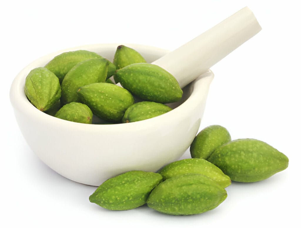 Kadukkai Benefits in Tamil